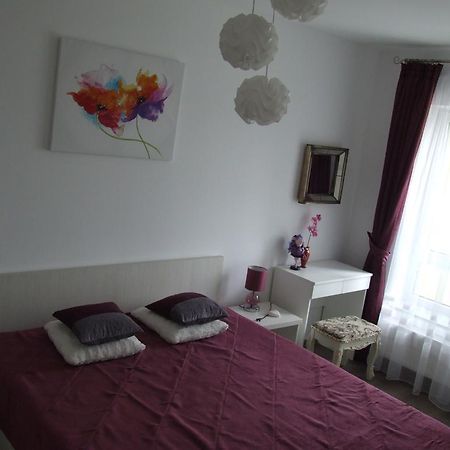Anca Apartment Brasov Exterior photo