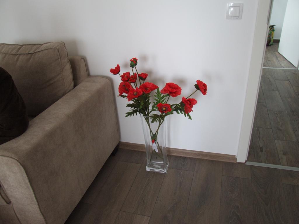 Anca Apartment Brasov Exterior photo